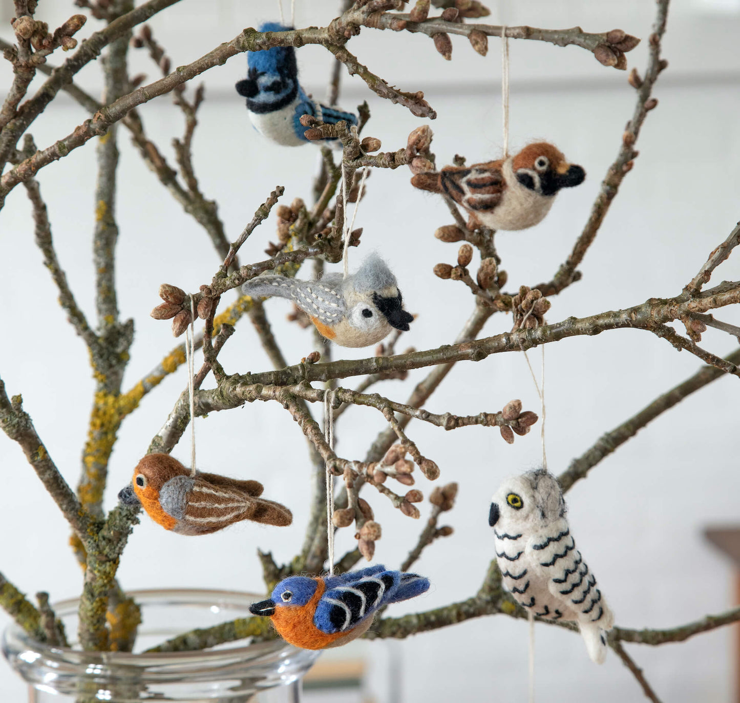 Uccellino Robin - Decorazioni