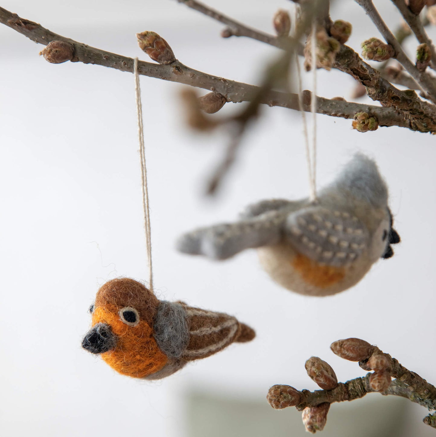 Uccellino Robin - Decorazioni