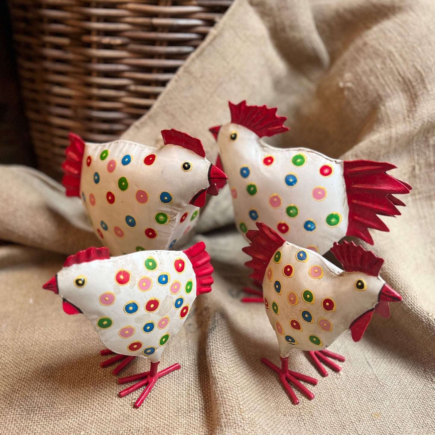 Gallo & Gallina - Pois colorati