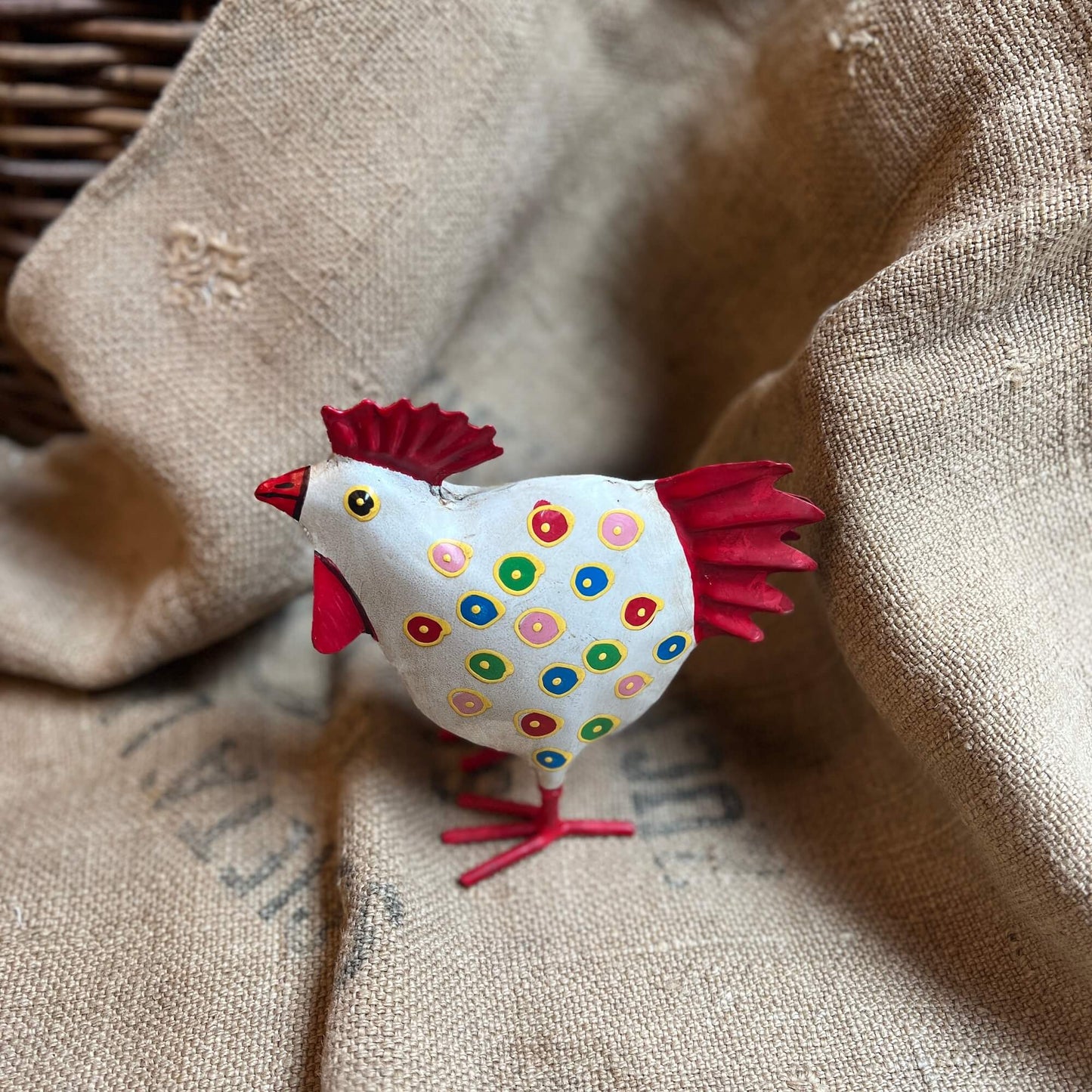 Gallo & Gallina - Pois colorati