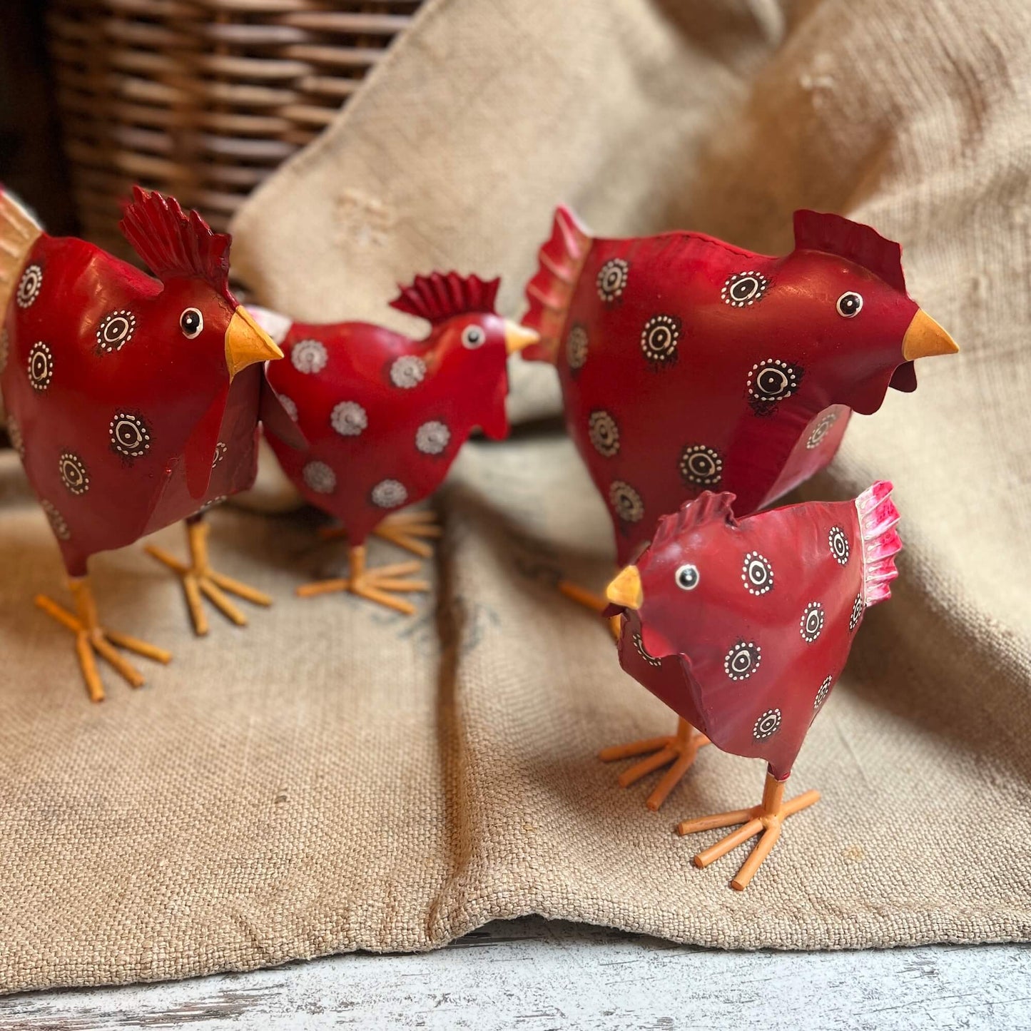Gallo & Gallina - Rossi