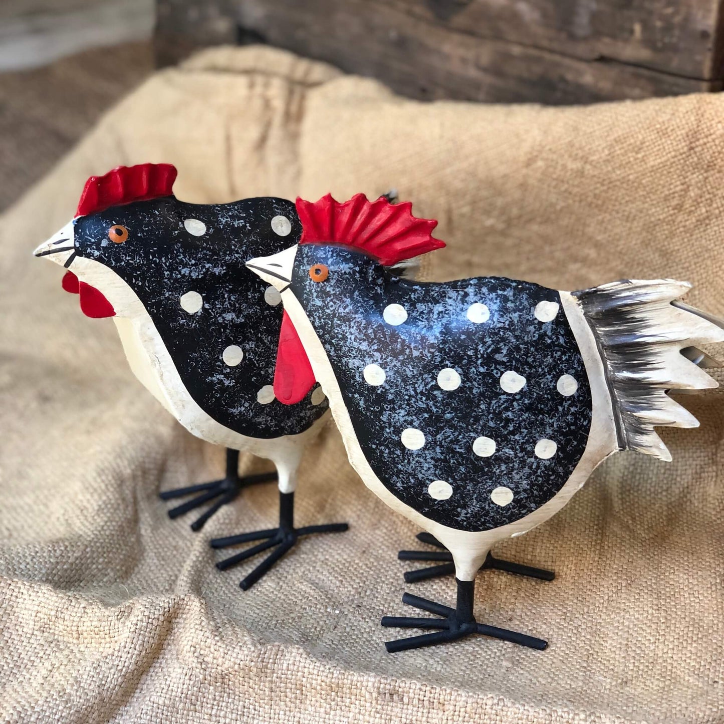 Gallo & Gallina - Pois bianco/nero