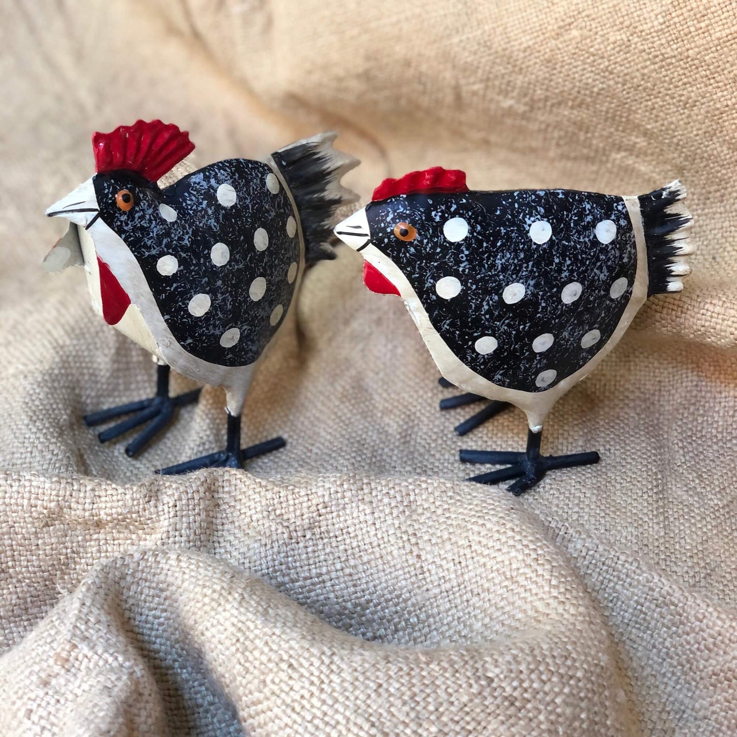 Gallo & Gallina - Pois bianco/nero