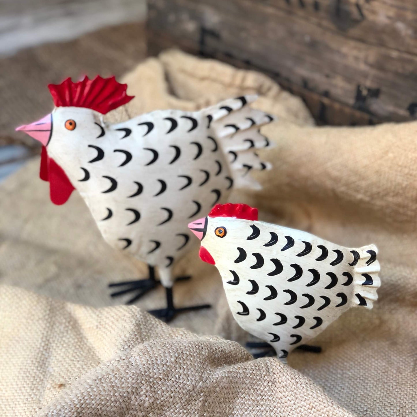 Gallo & Gallina - Piume bianco/nero