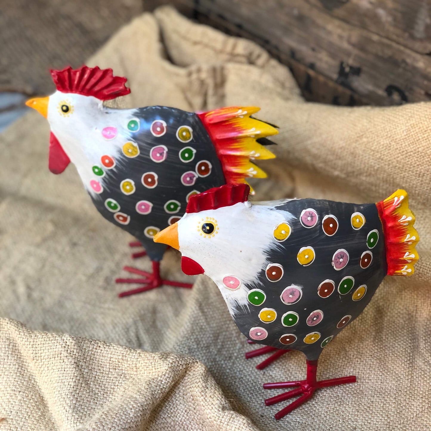 Gallo & Gallina - Multicolor