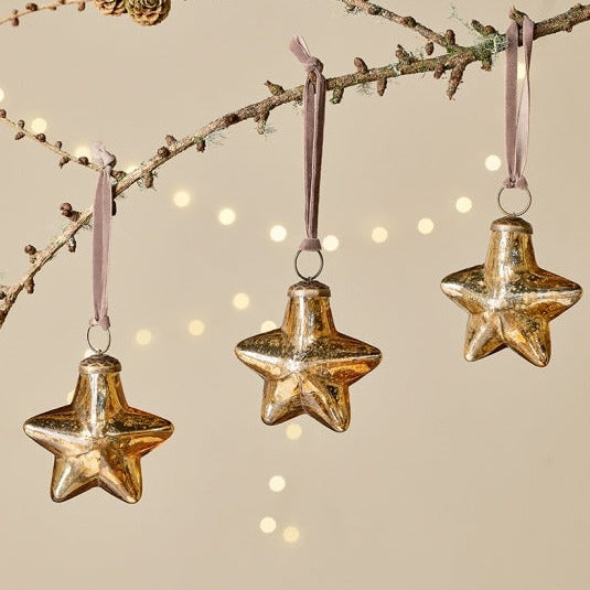 Stella - Trasparente & Oro - Decorazioni Natale