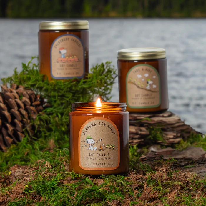 LM Peanuts - Everybody Paddle! - P.F. Candle Co