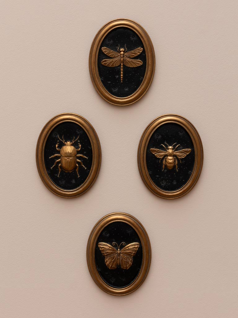 Quadretti ovali - Insetti