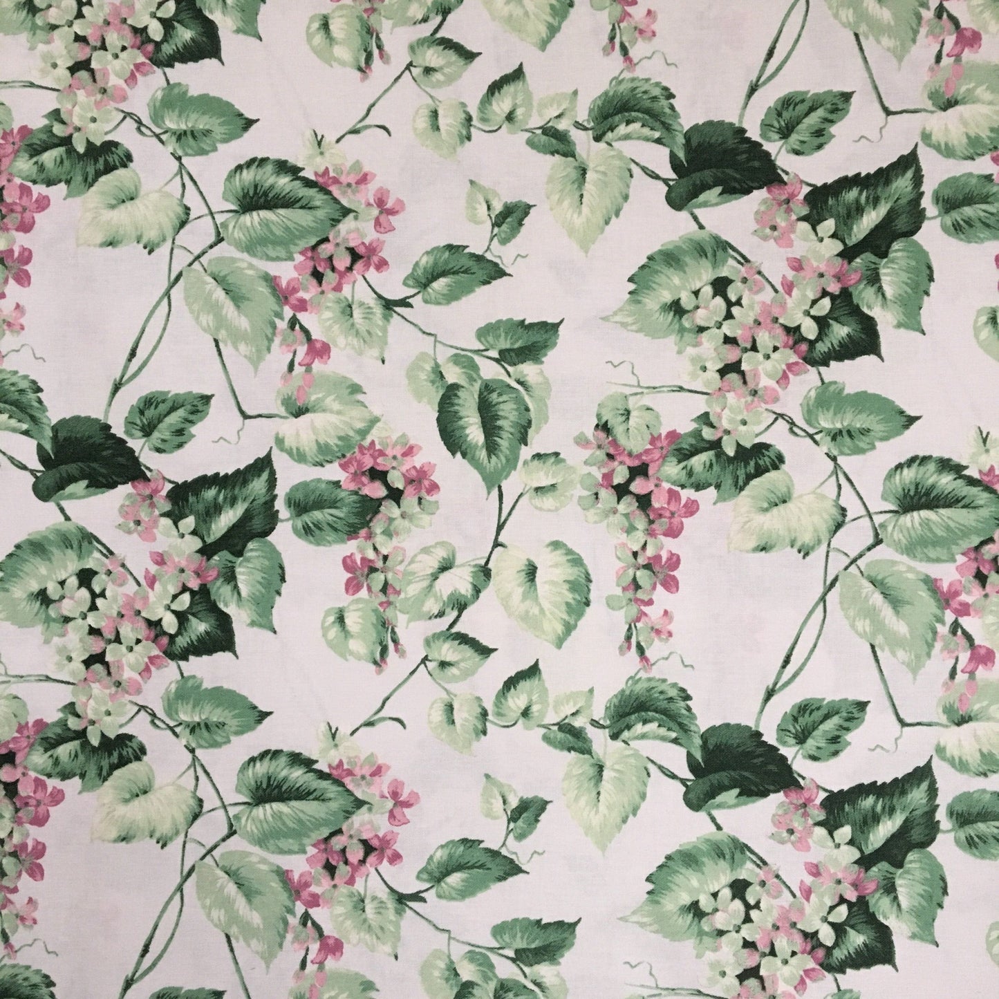 Scampoli Cotone - Glicine