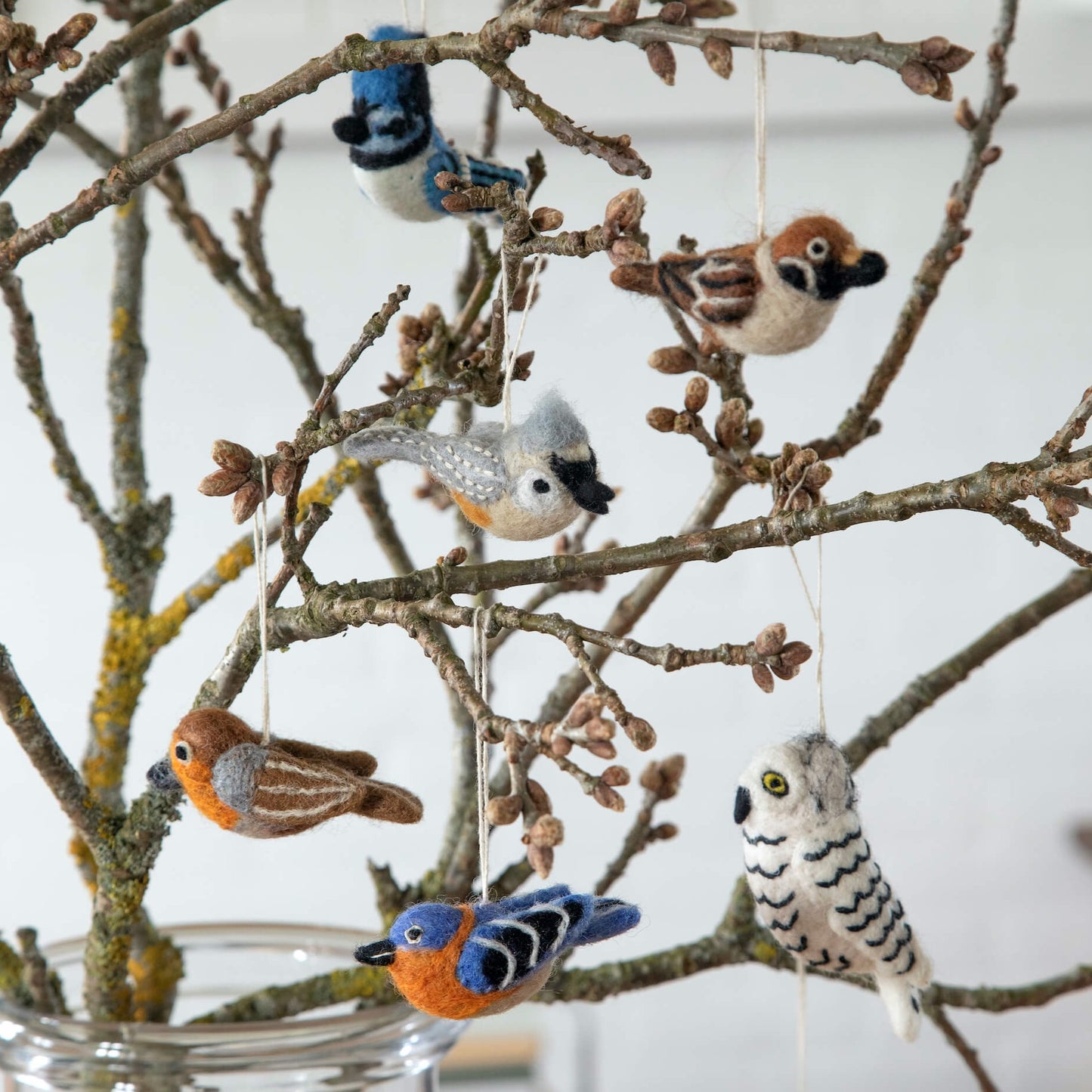 Uccellino blu/arancio - Decorazioni