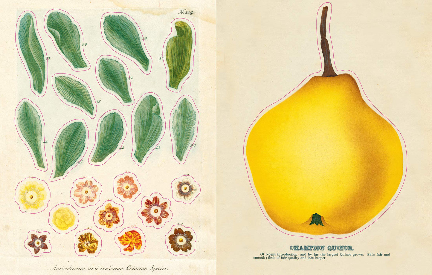 John Derian - Sticker Book