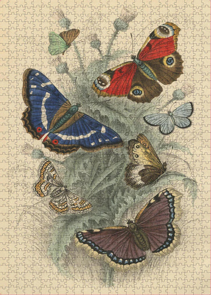 Dancing Butterflies - John Derian - 750 pezzi