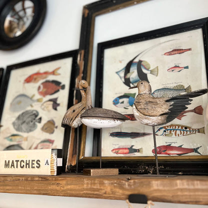 Seabirds - with pedestal