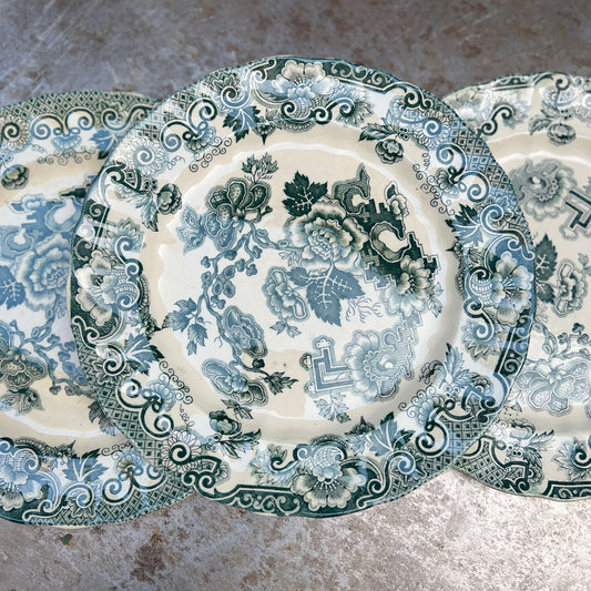 Piatti piani - Società Ceramica Richard - Vintage