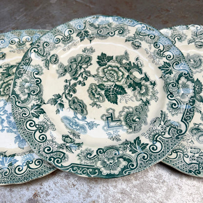 Piatti piani - Società Ceramica Richard - Vintage