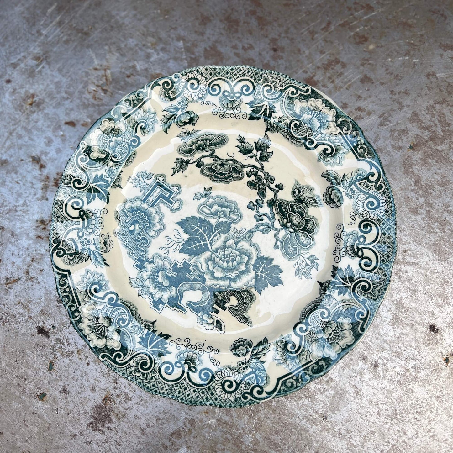 Piatti piani - Società Ceramica Richard - Vintage