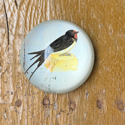 Paperweight - Assorted