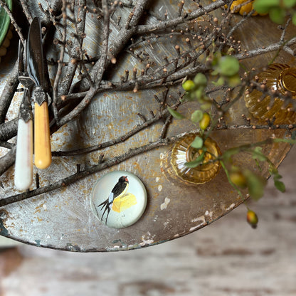 Paperweight - Assorted