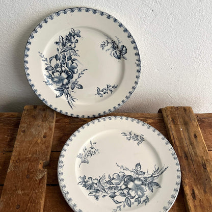 Assorted Flat Plates - Terre de fer - Vintage