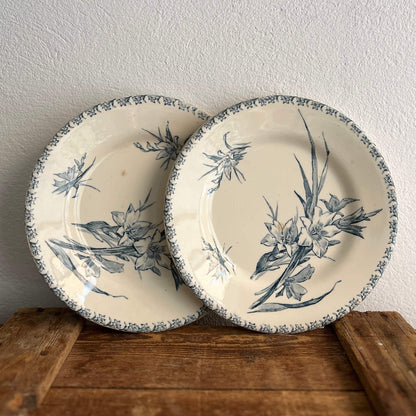 Assorted Flat Plates - Terre de fer - Vintage