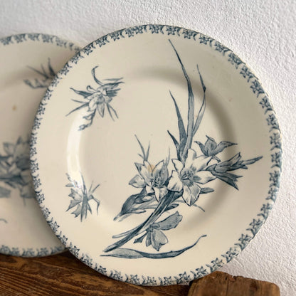 Assorted Flat Plates - Terre de fer - Vintage