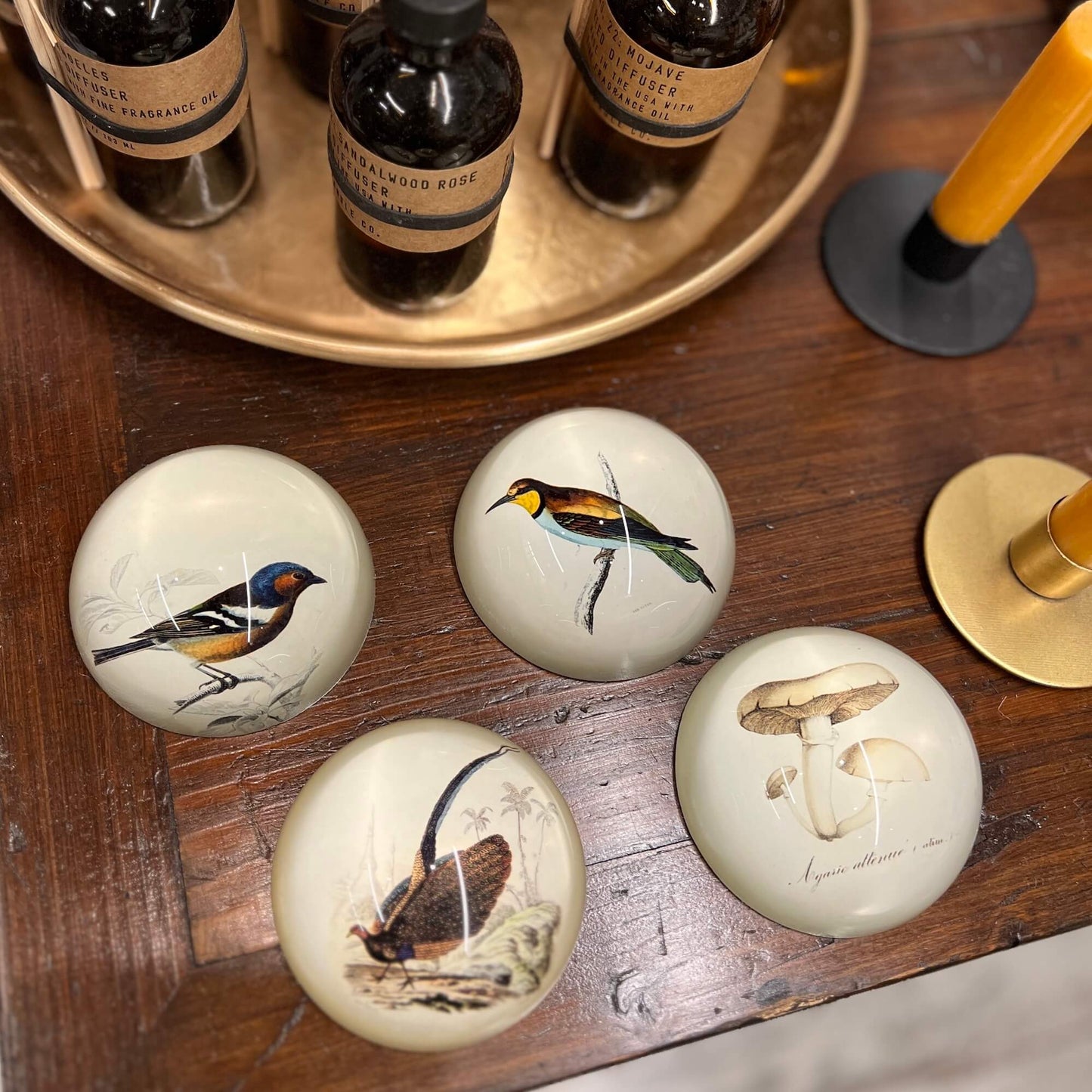 Paperweight - Assorted