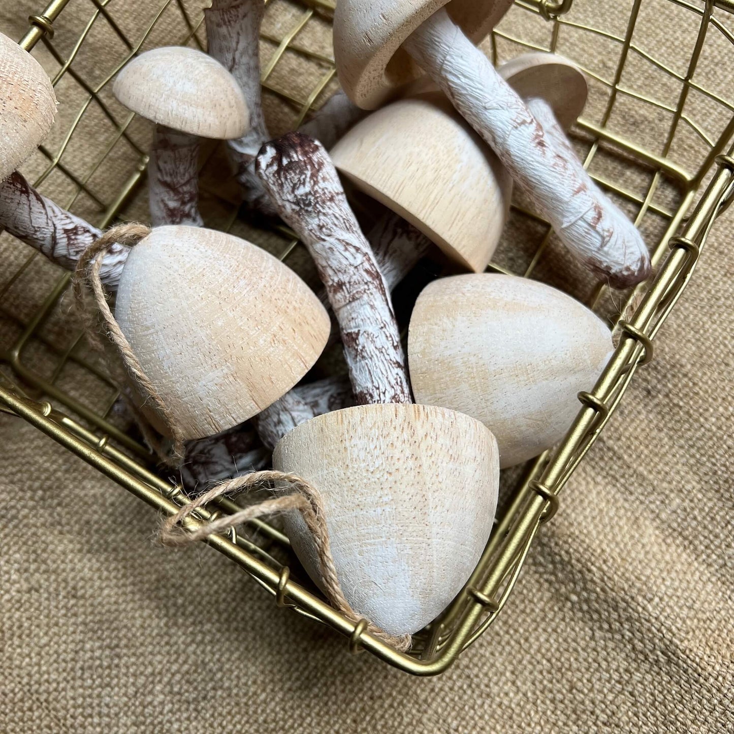 Funghi - Legno e carta