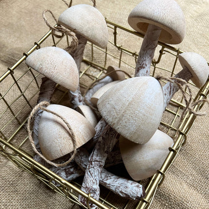 Funghi - Legno e carta