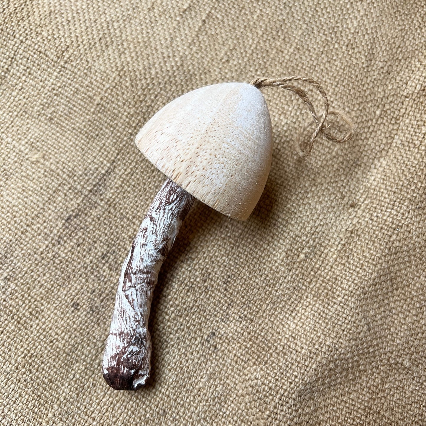 Funghi - Legno e carta