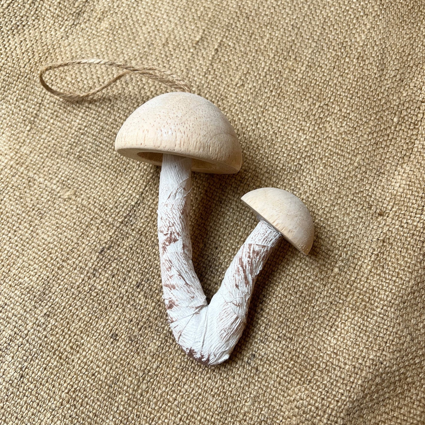 Funghi - Legno e carta