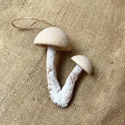 Funghi - Legno e carta