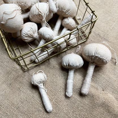 Funghi - Cotone naturale