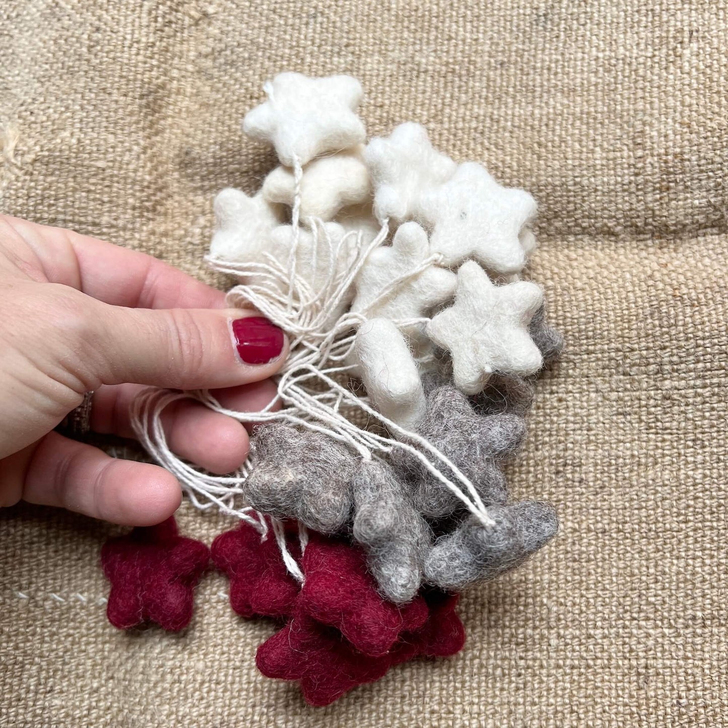 Mini stelle - assortite