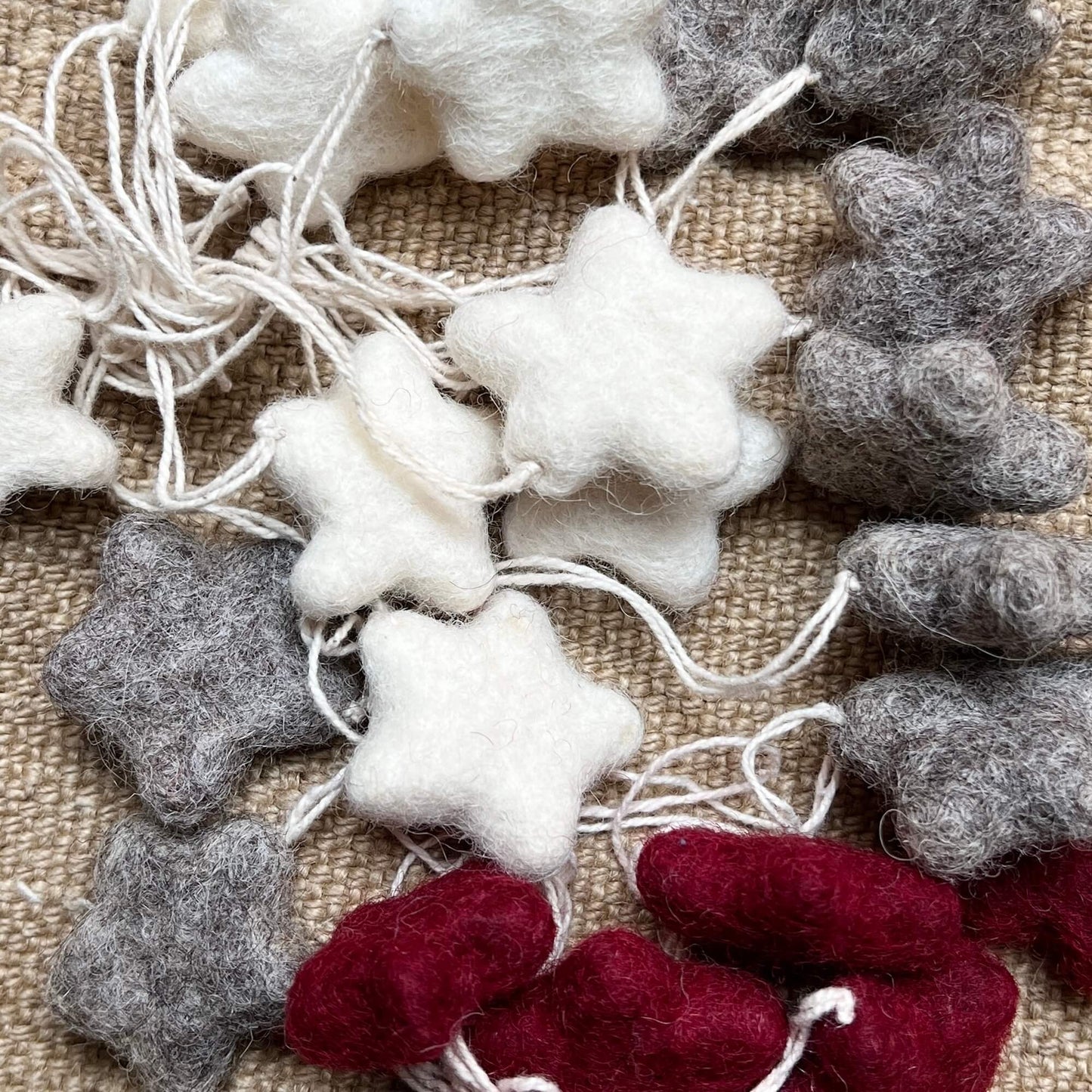 Mini stelle - assortite