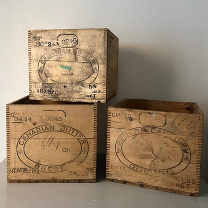 Wooden crates - Beurre Canadien - Vintage