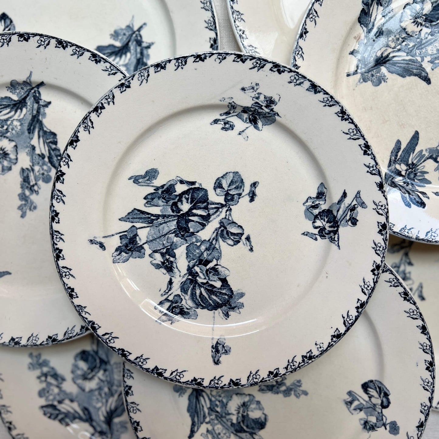 Dinner Plates - Violette - Terre de fer - Vintage
