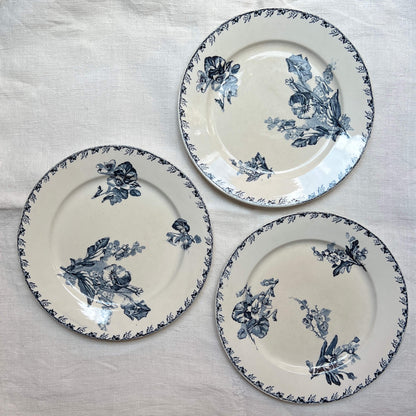 Dinner Plates - Violette - Terre de fer - Vintage