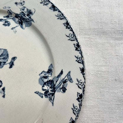 Dinner Plates - Violette - Terre de fer - Vintage