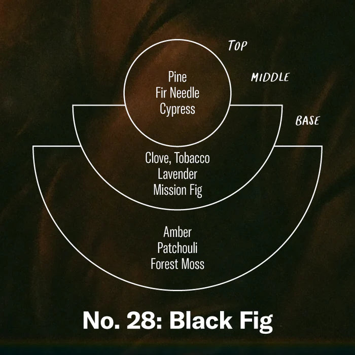 N.28 Black Fig - P.F. Candle Co