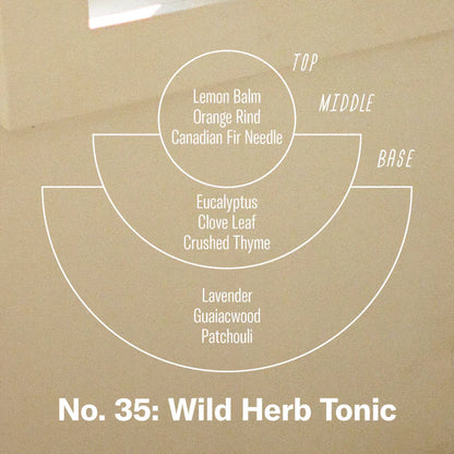 N.36 Wild Herb Tonic - P.F. Candle Co