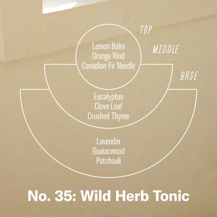 Diffusore per ambiente - N.36 Wild Herb Tonic - P.F. Candle Co