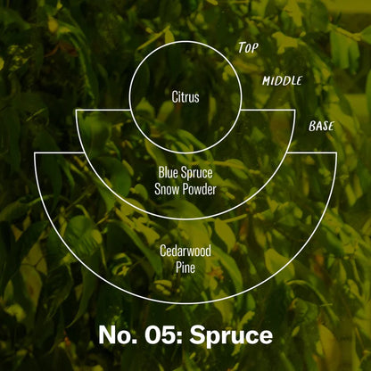 N.05 Spruce - PF Candle Co