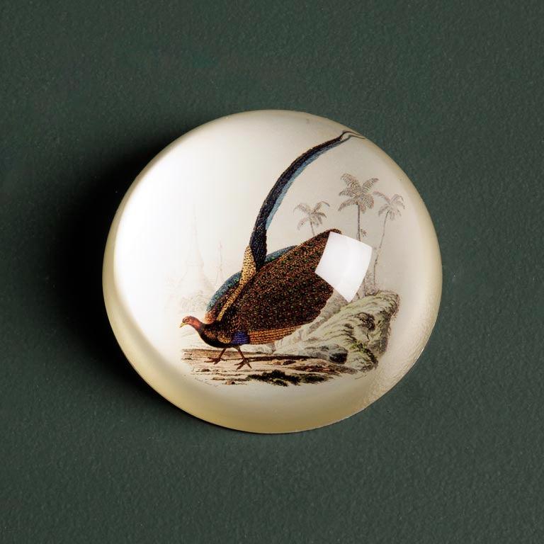Paperweight - Assorted