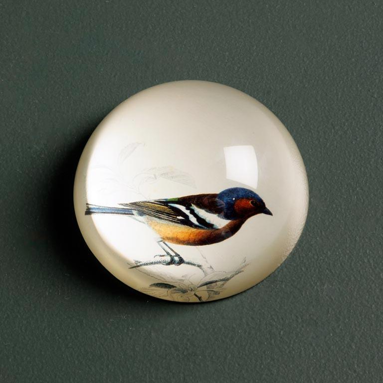 Paperweight - Assorted