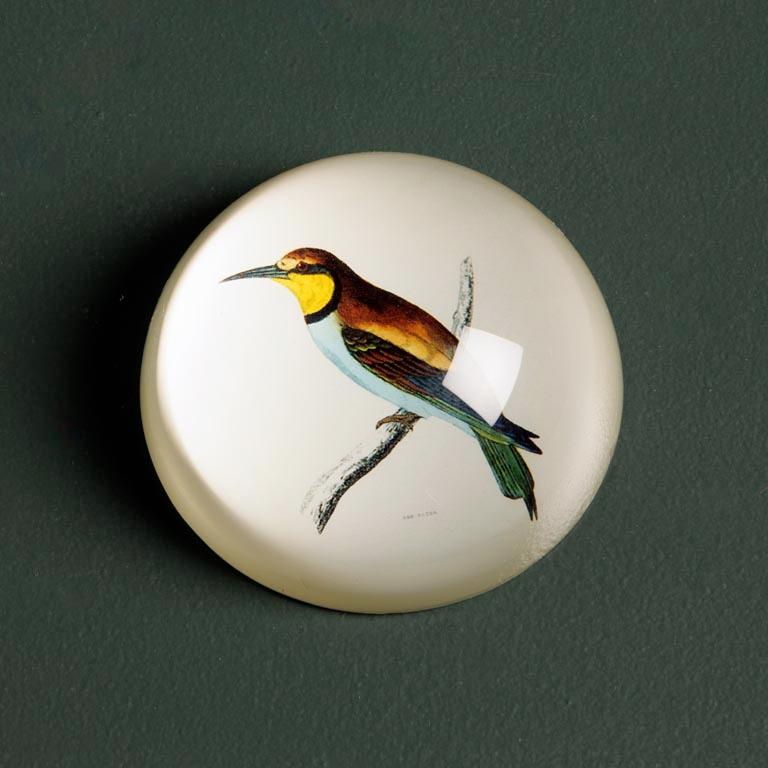 Paperweight - Assorted