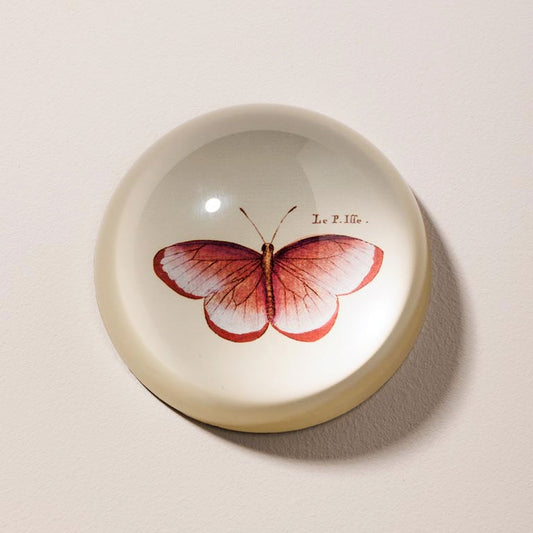 Ferma carte - Assortiti