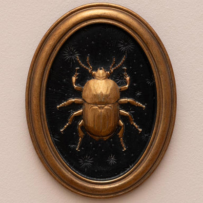 Quadretti ovali - Insetti